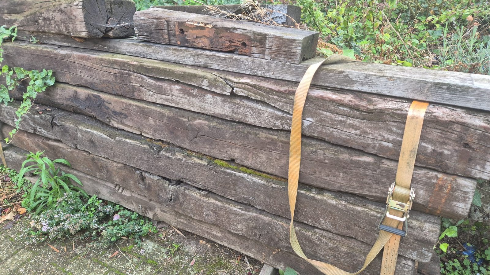 Bielzen 2,6m lang, Enlèvement, Utilisé, Bois, 200 cm ou plus