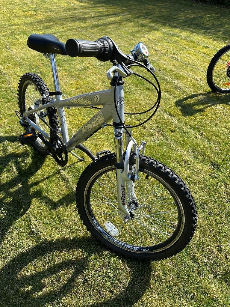 Kinderfiets Speedster Mountainbike 20 inch, Fietsen en Brommers, Ophalen, Zo goed als nieuw, 16 tot 20 inch, Speedster