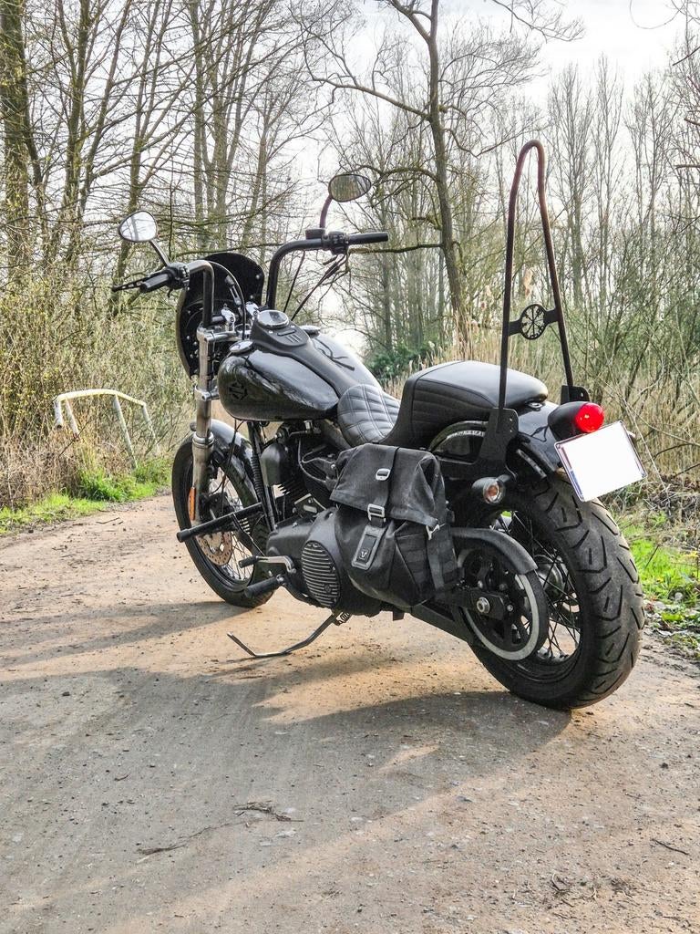 Harley-Davidson Dyna Street Bob, Particulier
