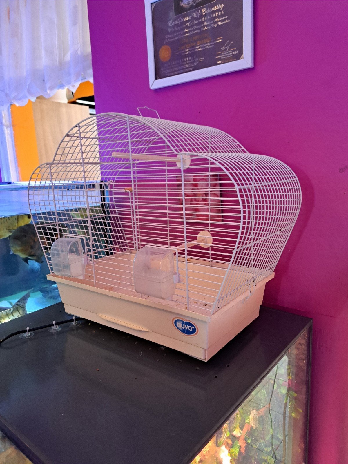 Cage a canaris complete de 46cm de haut sur 27, Enlèvement, Utilisé, Métal, Cage à oiseaux