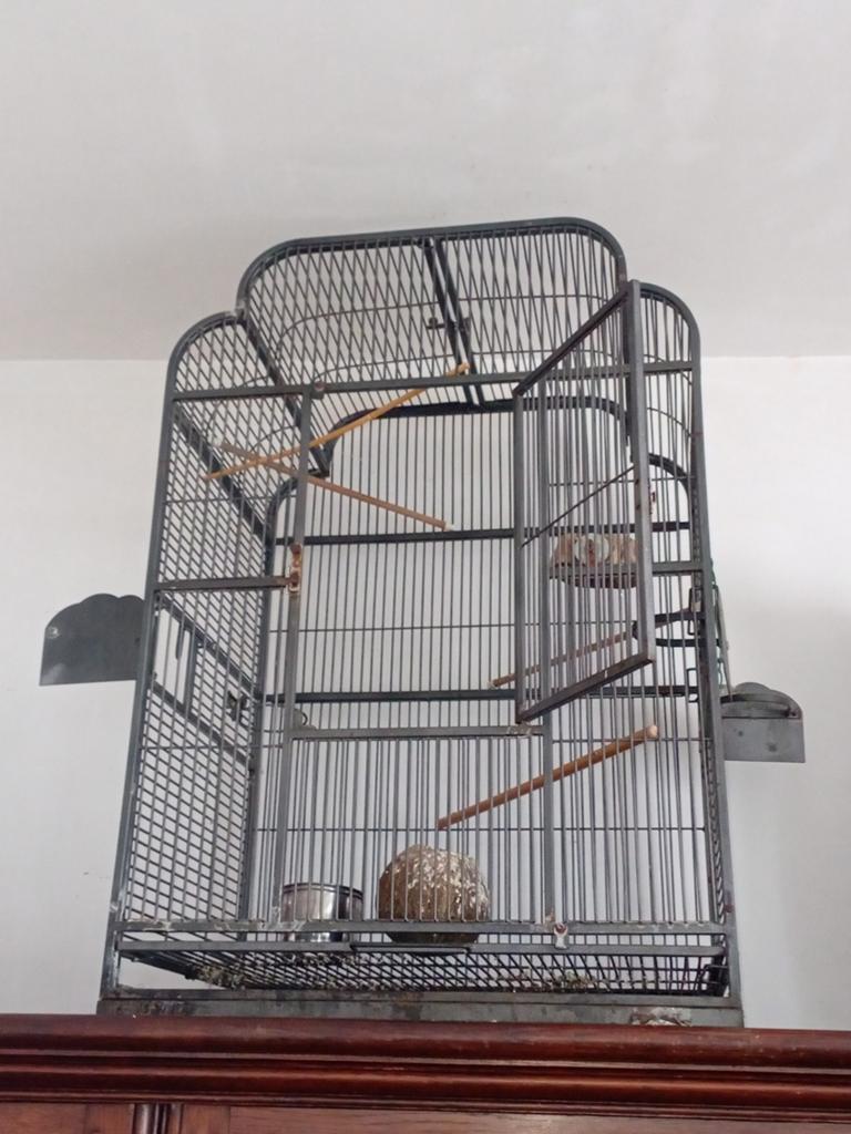 Groot en proper Kooi, Ophalen