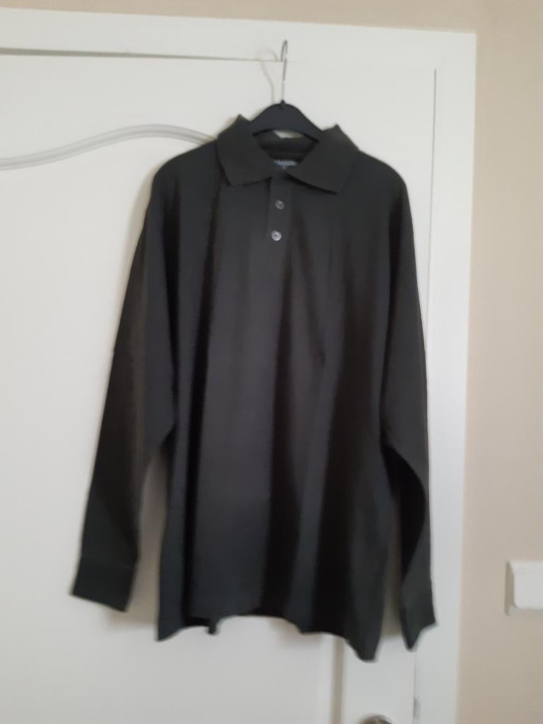 Polo met lange mouwen (maat M.kleur groen.), Kleding | Heren, Polo's, Gedragen, Maat 48/50 (M), Groen, Ophalen of Verzenden