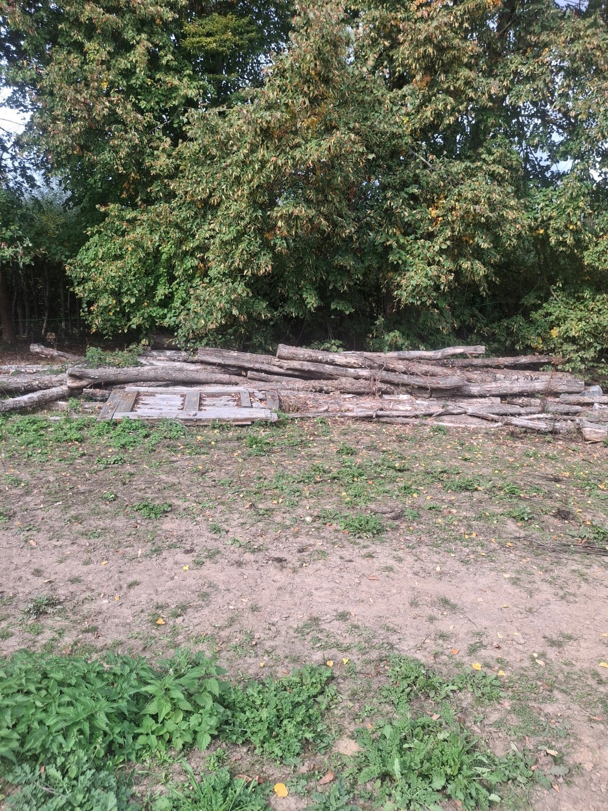 brandhout, Ophalen