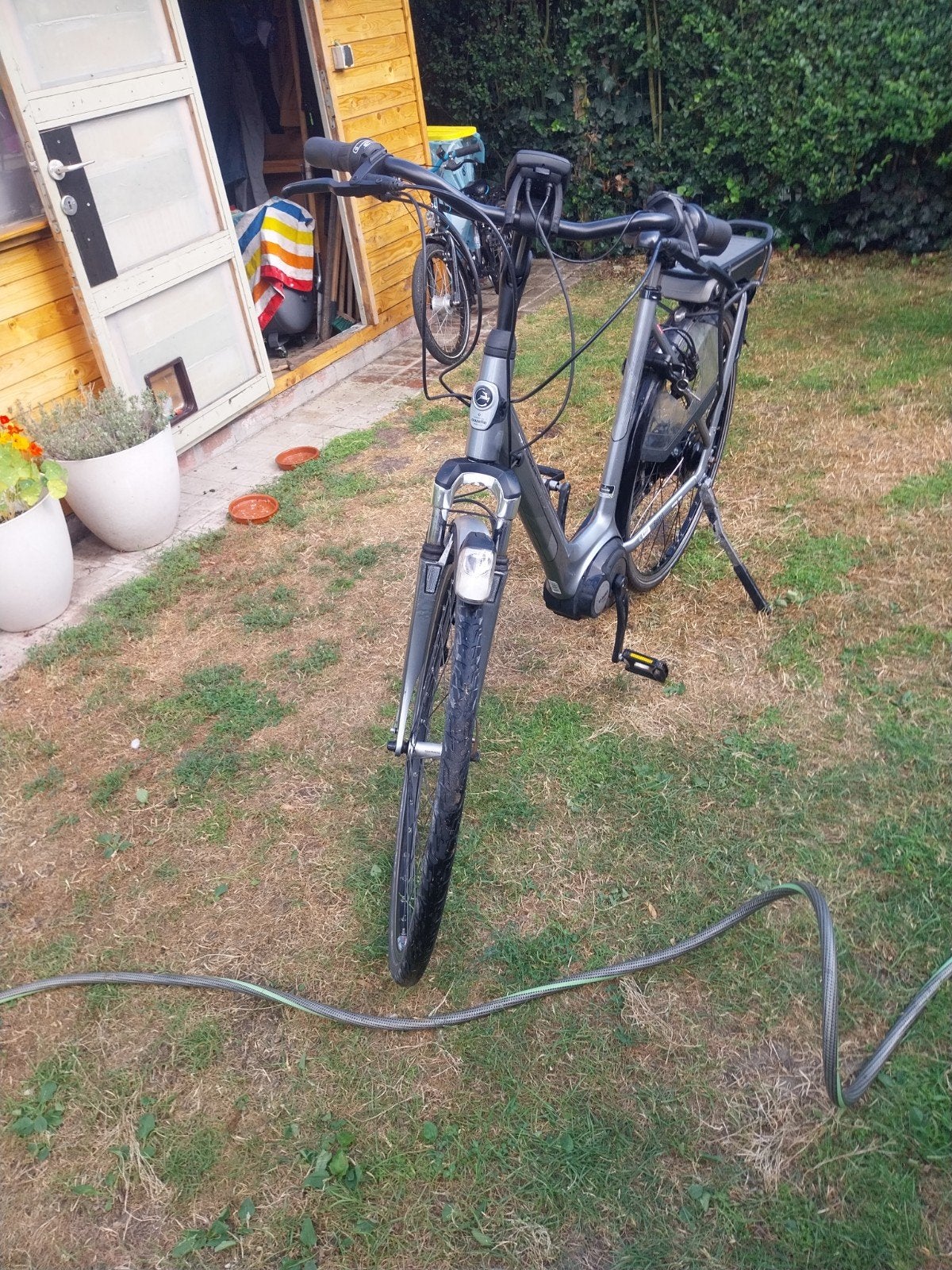 Gazelle orange c330, Enlèvement, Gazelle