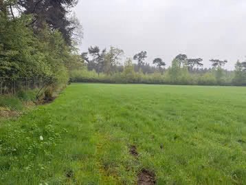 WEIDE GEZOCHT RUMBEKE