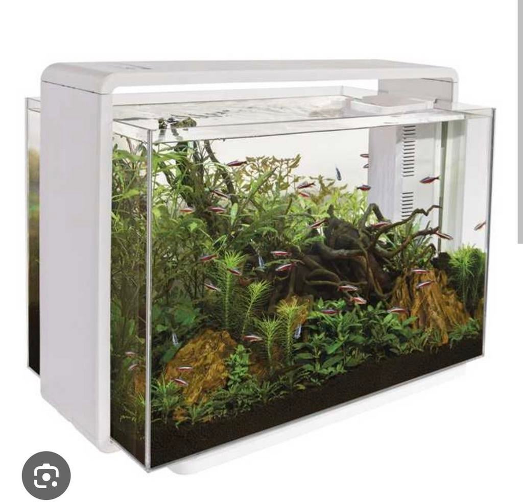 Superfish aquarium, Dieren en Toebehoren, Vissen | Aquaria en Toebehoren, Pomp, Superfish, Ophalen