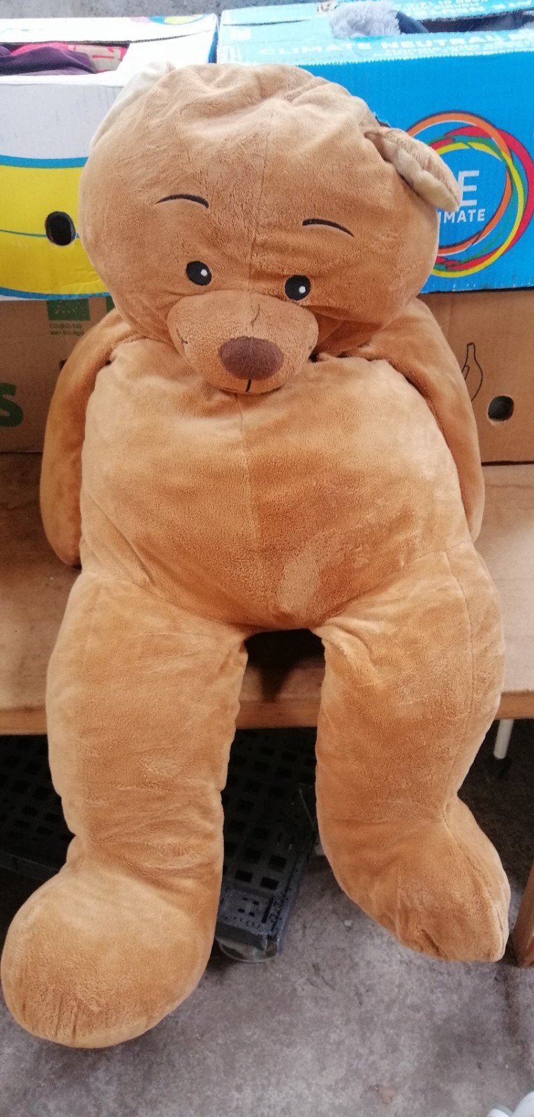 Grande peluche 🧸 ours, Ophalen