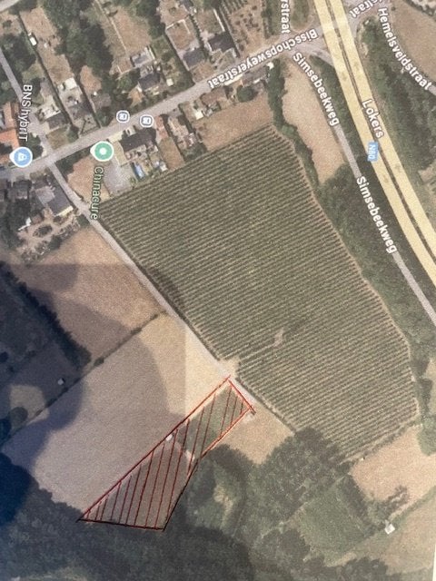 Weide voor paarden in Alken te huur., Dieren en Toebehoren, Weidegang, 2 of 3 paarden of pony's