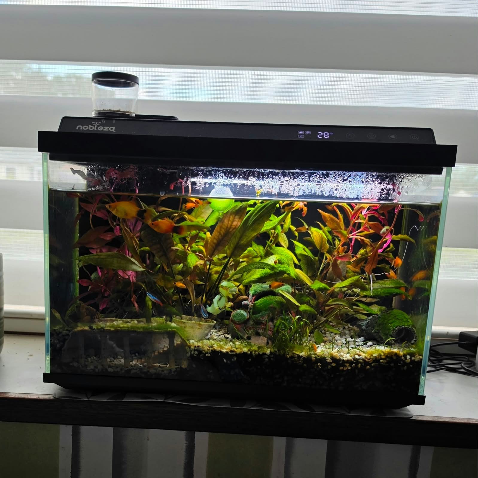 smart Aquarium 30 Liter, Dieren en Toebehoren, Ophalen, Nieuw, Overige merken, Leeg aquarium