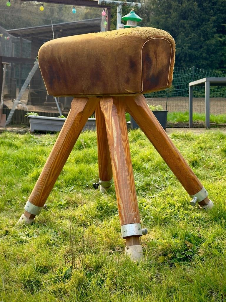 Uniek Decorstuk met Karakter, Ophalen, Gebruikt, Bruin, Materiaal