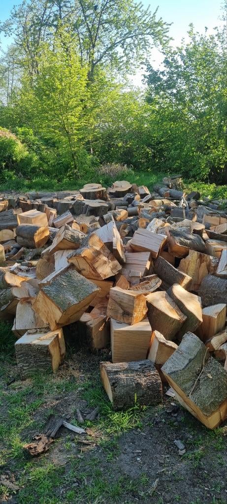 Brandhout Eik Beuk es, Ophalen