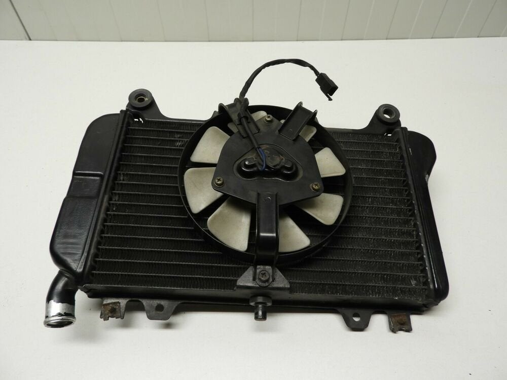 ZZR600 1993 - 2005 Kawasaki Radiator D1-44330