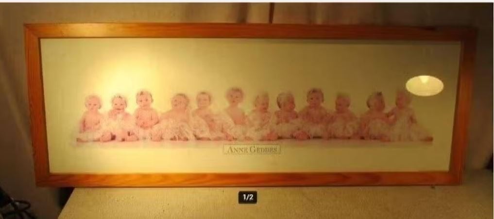 Prachtige Artprint 'Babys op een Rij' - Anne Geddes - 95x35, Ophalen of Verzenden, Zo goed als nieuw, Print, Oorspronkelijke maker