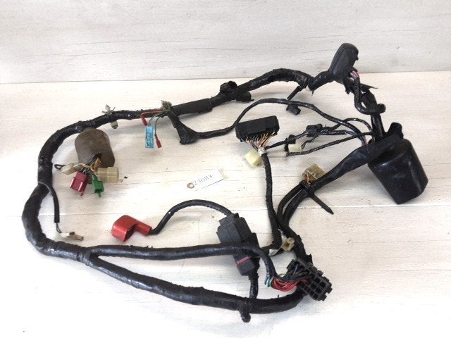 CBR600F 1999 - 2000 Honda Kabelboom Kabelboom hoofd D1-54046