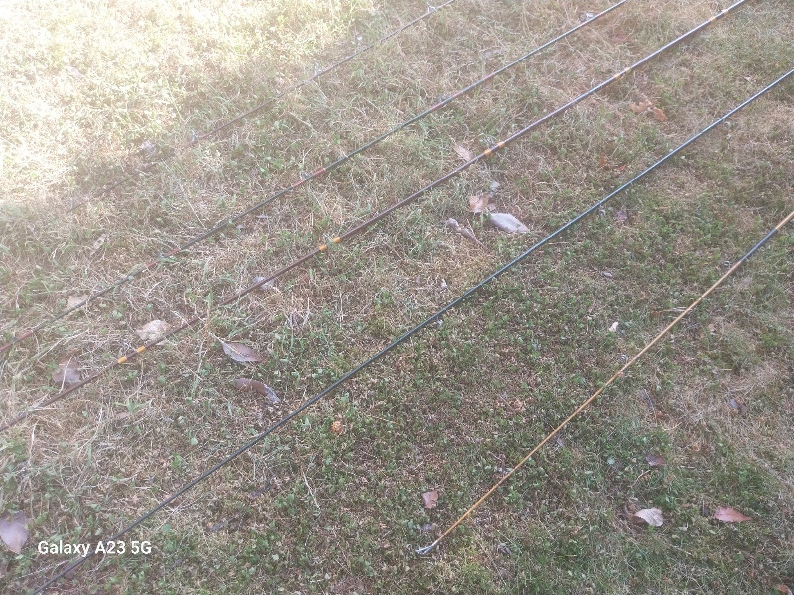 Canne à pêche, Enlèvement