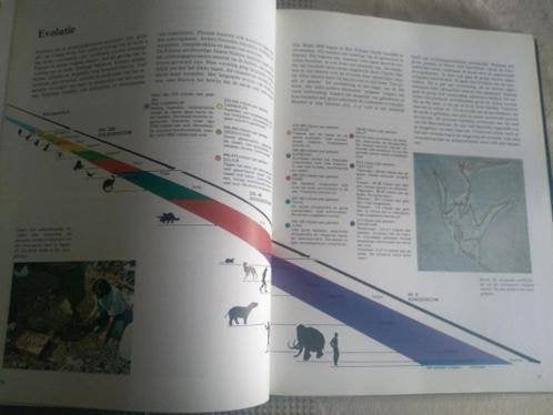 boek: nieuwe geïllustreerde wereldatlas, Enlèvement ou Envoi, Utilisé, Monde, Autres atlas