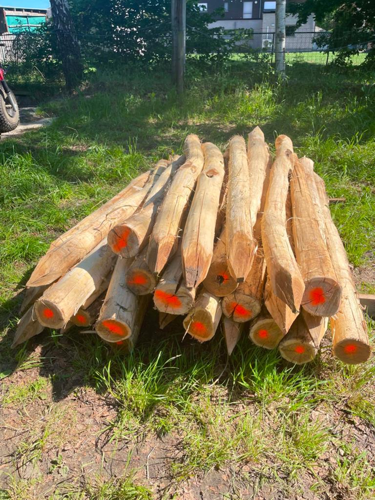 Palen, Ophalen, Palen, Nieuw, Hardhout