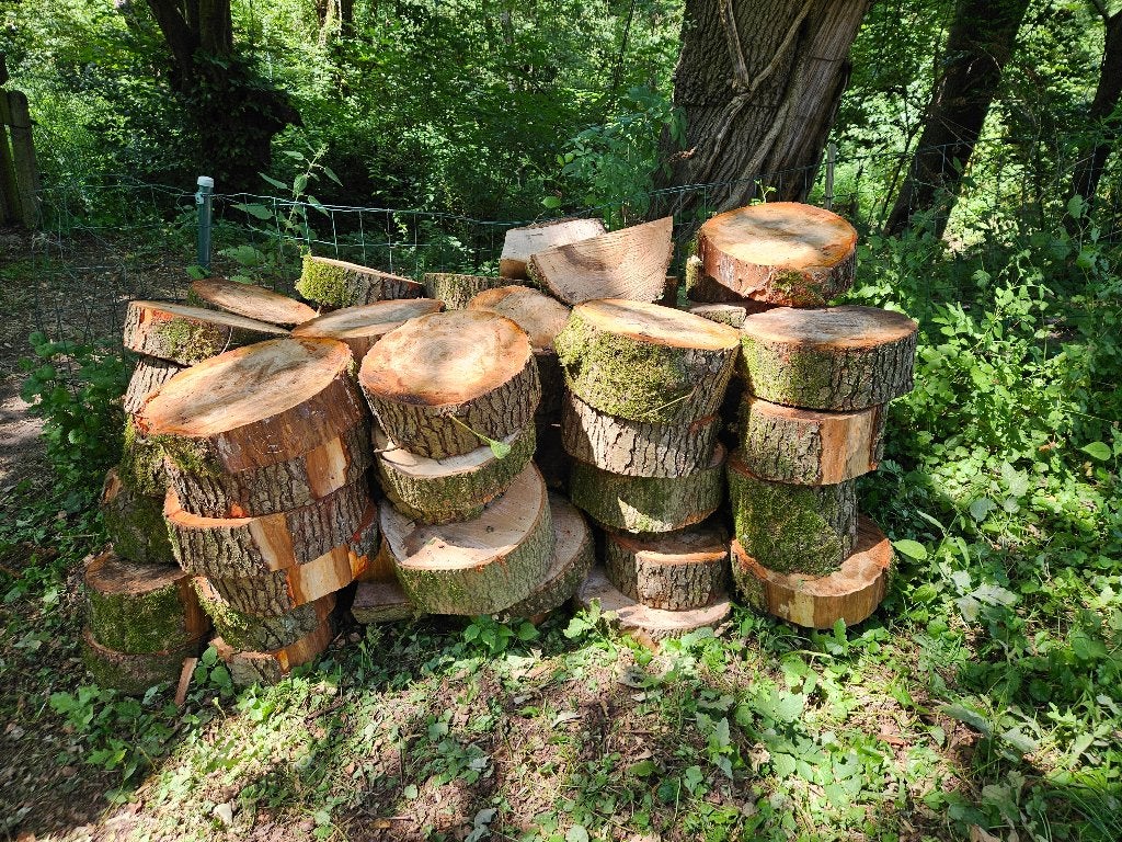 bois de chauffage, Jardin & Terrasse, Bois de chauffage, Moins de 3 m³, Enlèvement, Hêtre, Troncs d'arbres