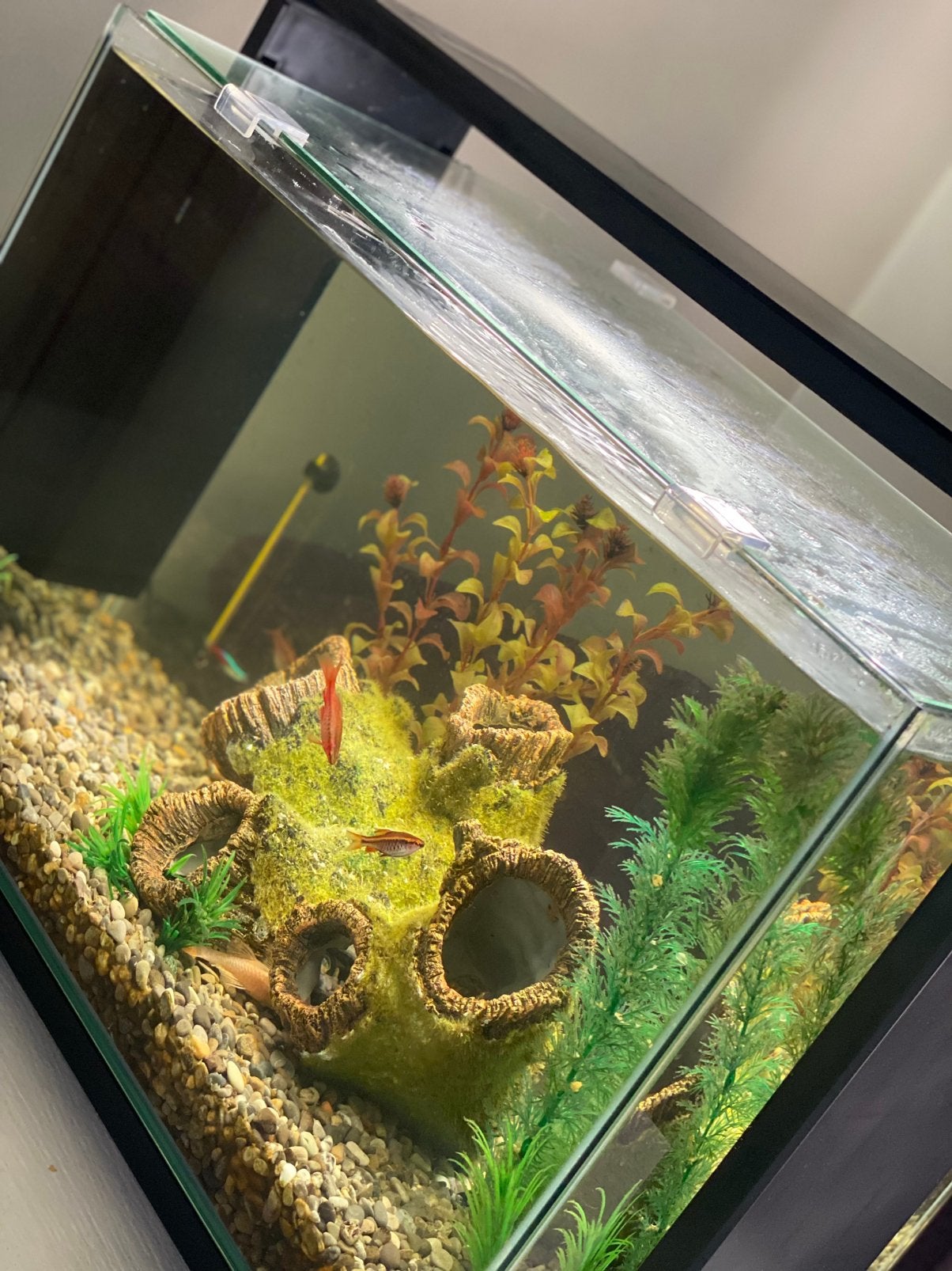Aquarium, 60 liter, Dieren en Toebehoren, Ophalen, Verwarming, Zo goed als nieuw, Filter