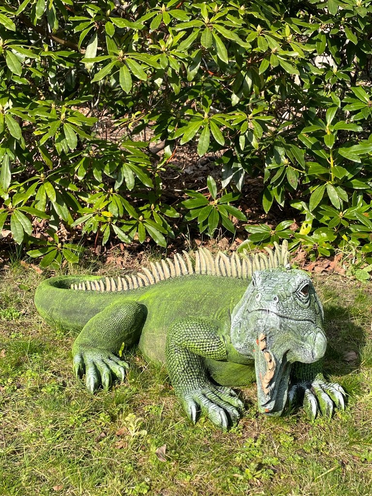 Leguaan, Groen, tuin, zwembad, vijver, salamander 100cm, Tuin en Terras, Tuinbeelden, Ophalen, Nieuw, Kunststof, Dierenbeeld