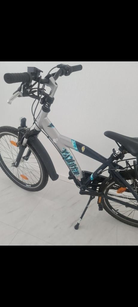 Fiets, Fietsen en Brommers, Elektrische fietsen, Ophalen