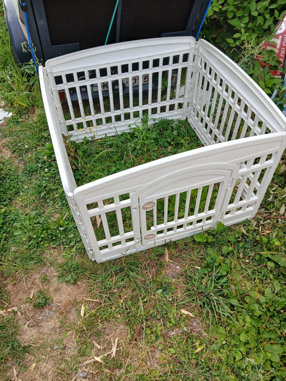a vendre, Animaux & Accessoires, Enlèvement