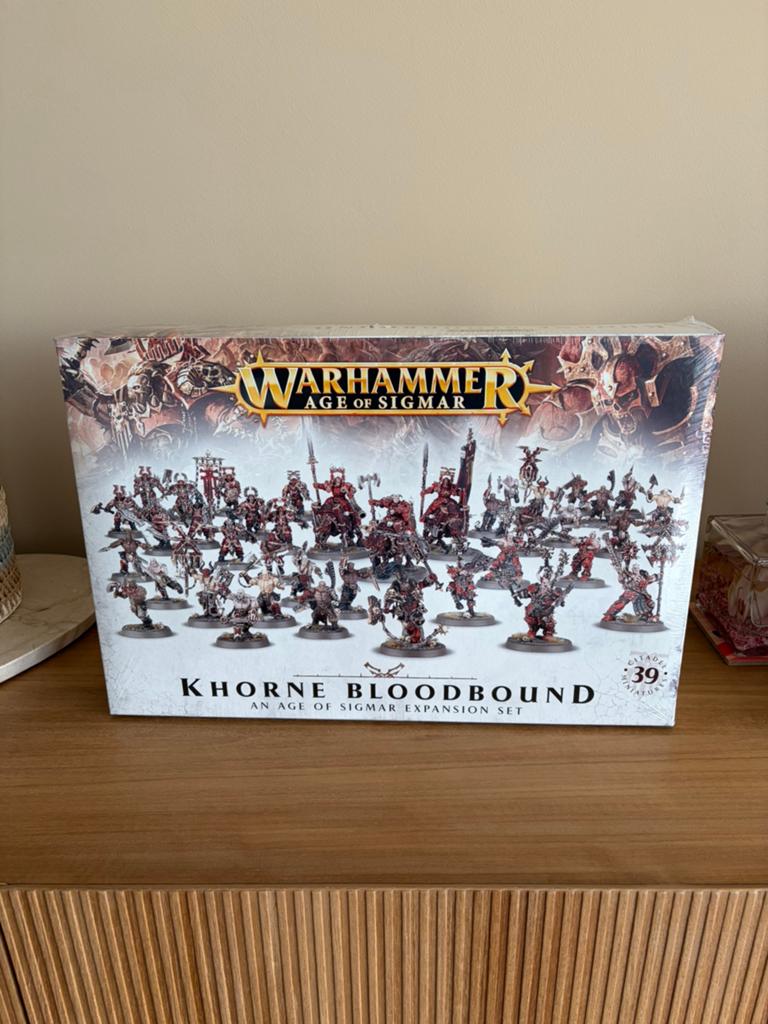 Set warhammer Khorne bloodbound, Hobby en Vrije tijd, Ophalen of Verzenden, Zo goed als nieuw