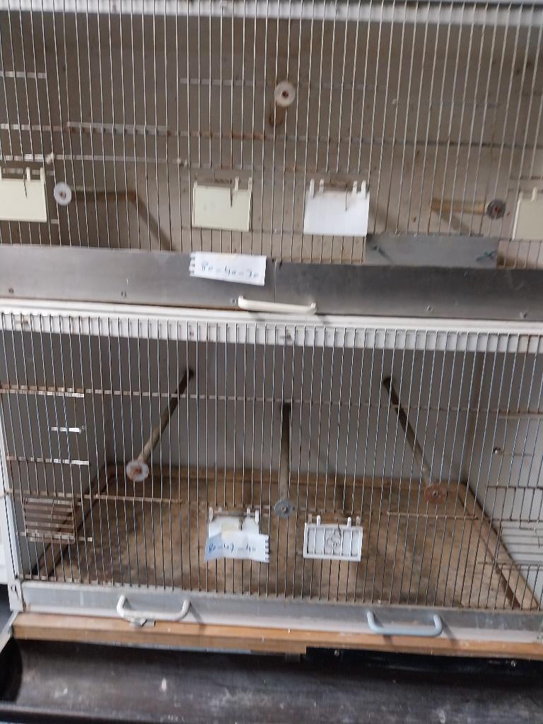 kweekkooien, Enlèvement, Utilisé, Bois, Cage d'élevage