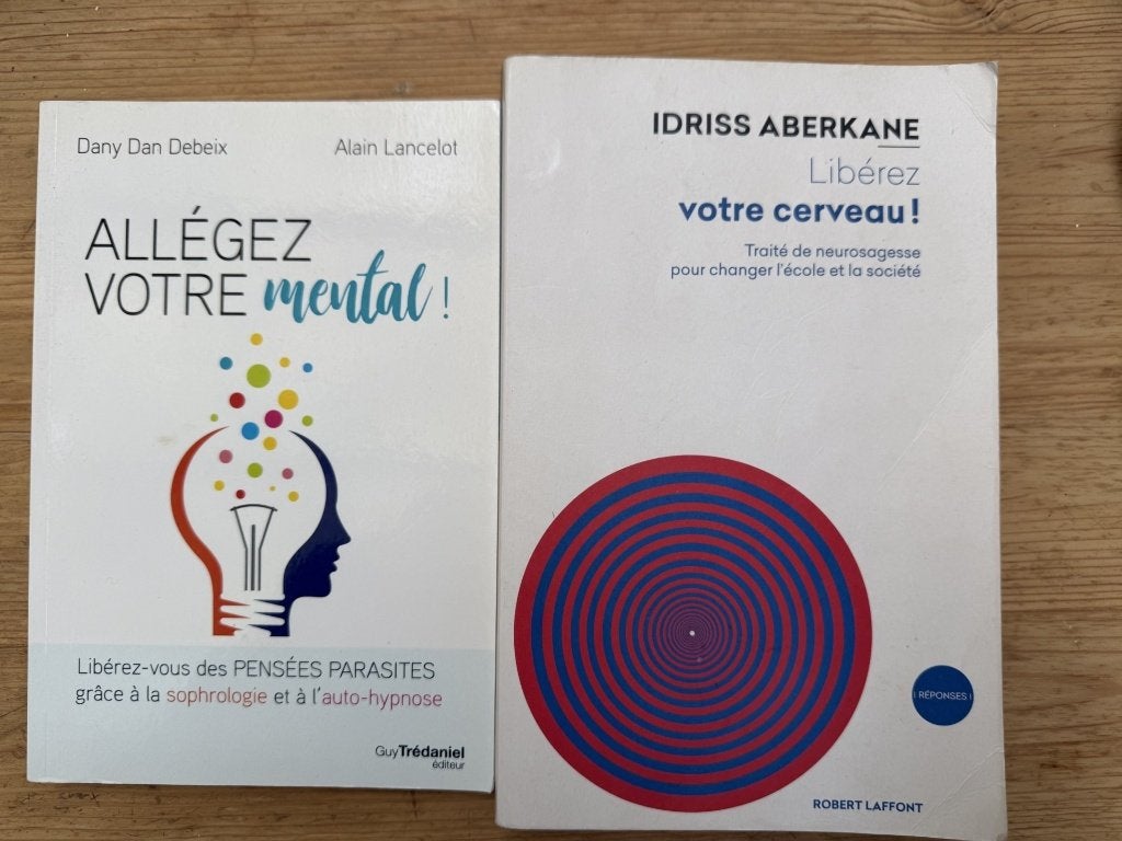 Cerveau + Mental, lot de 2 livres TBE, Livres, Envoi, Comme neuf, Psychologie cognitive