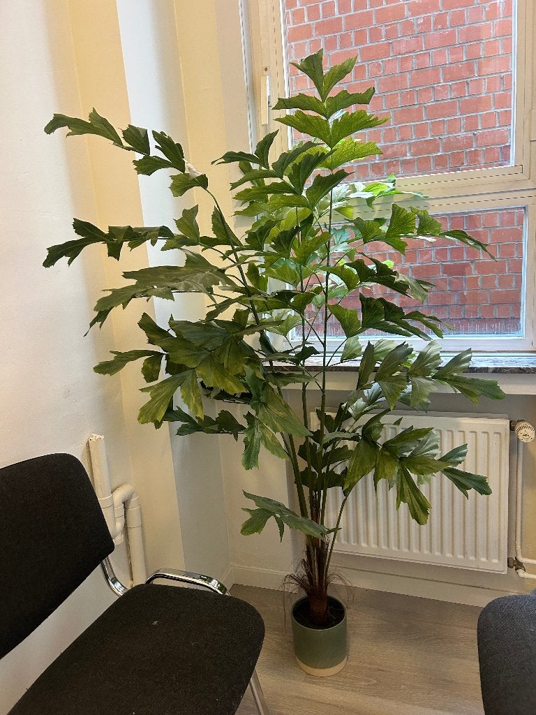 Kunstplant Fishtail Palm – 1,50 m – Perfecte staat, Soie, Sans entretien, Vert, Intérieur