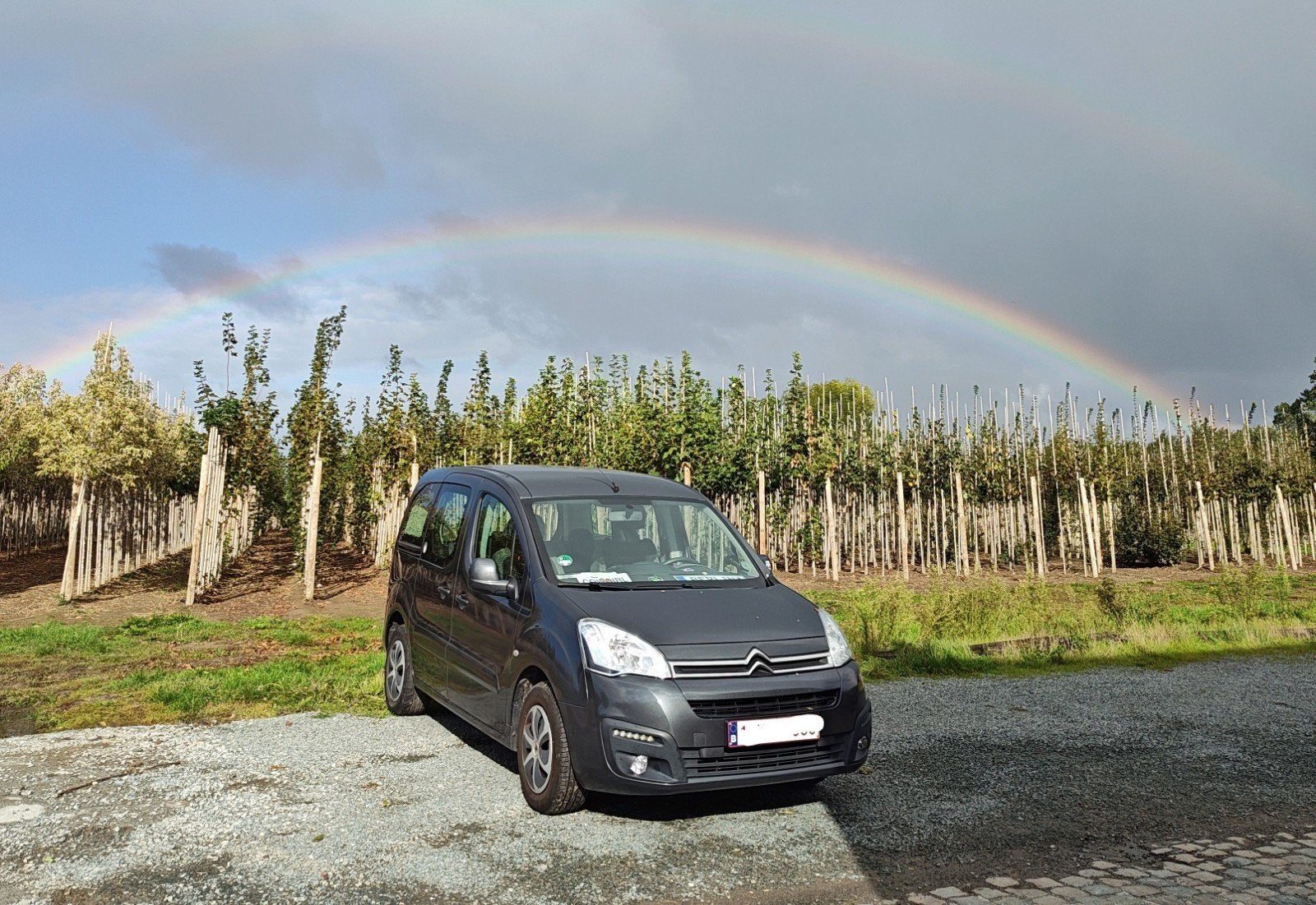Citroën berlingo, Auto's, Voorwielaandrijving, Stof, Euro 6, Elektrische ramen