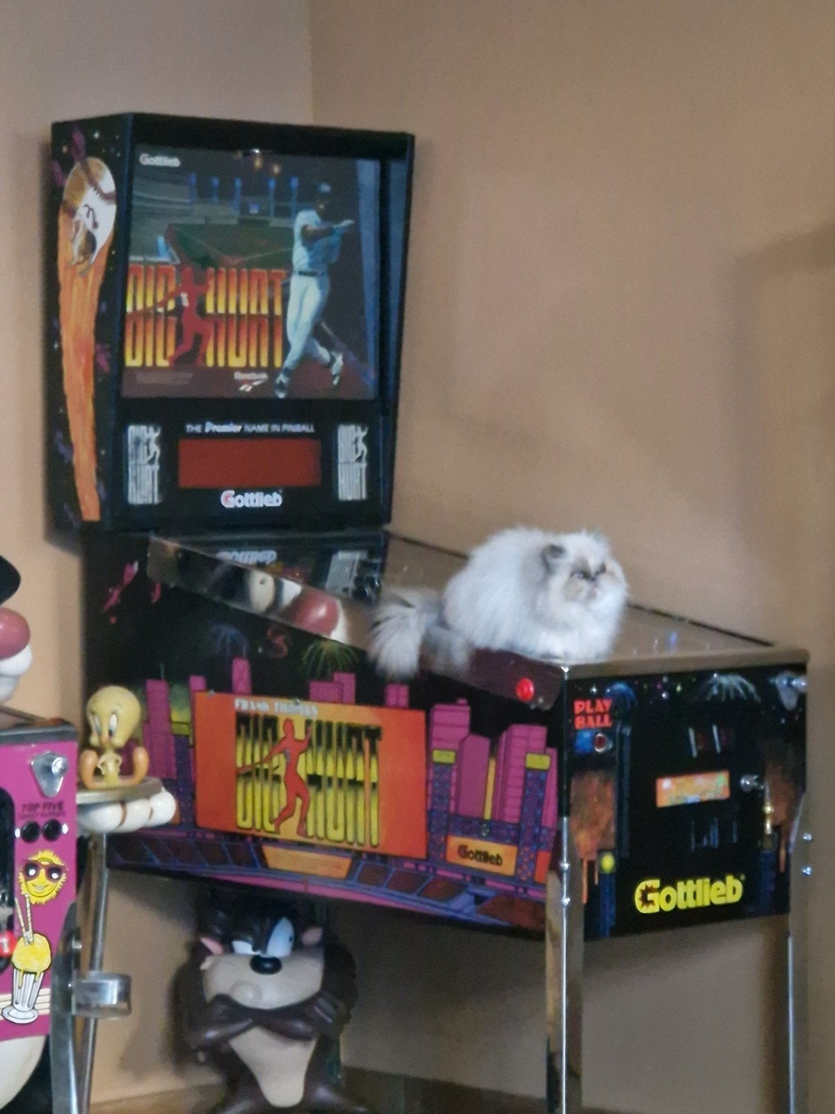 Big hurt, Collections, Machines | Machines à sous, Euro
