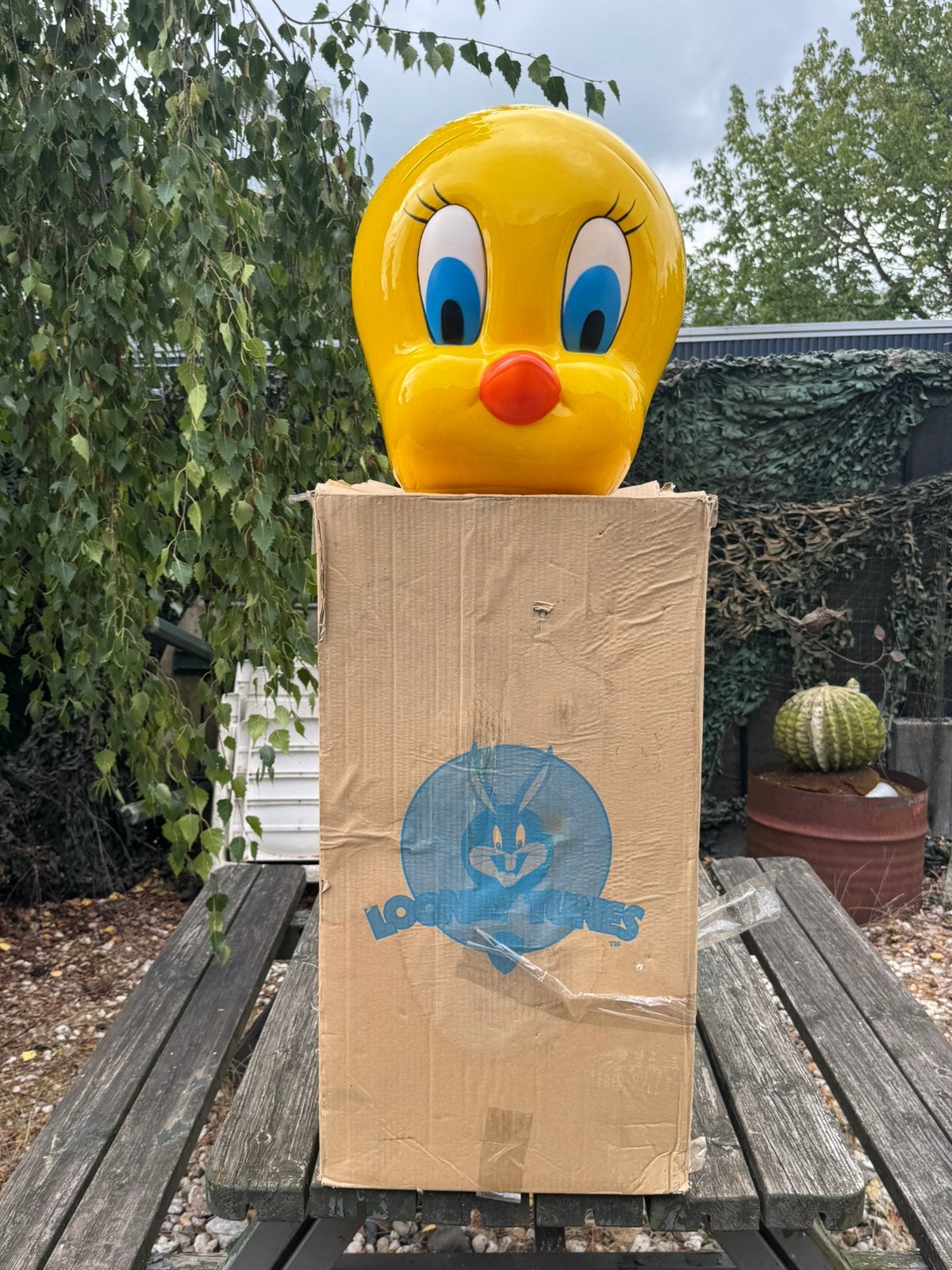 Image de la tête de Tweety Looney Toones, Statue ou Figurine, ., Looney Tunes, Enlèvement