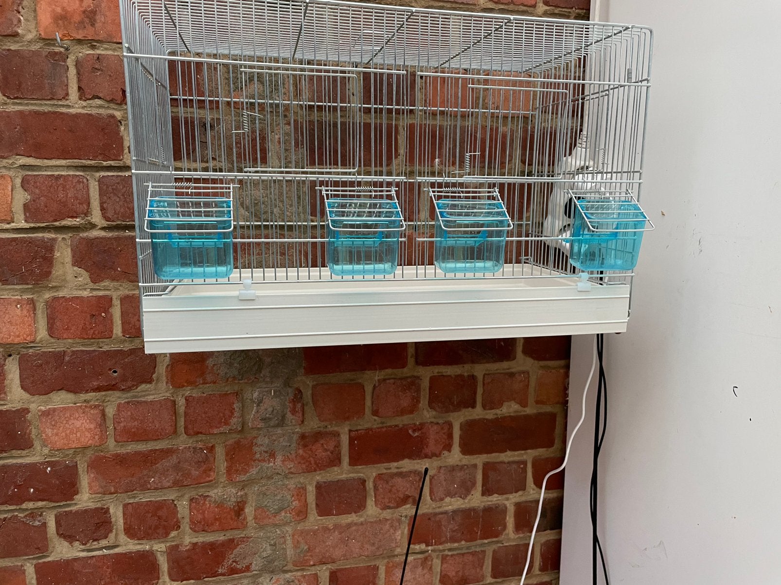 À vendre : cage de culture à l'état neuf avec tout inclus, Animaux & Accessoires