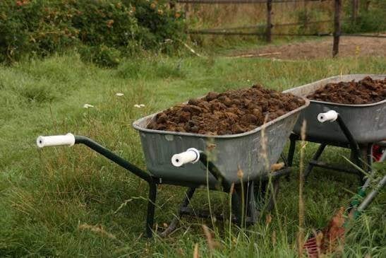 Gratis paardenmest ook thuisgebracht, Tuin en Terras, Ophalen, Mest