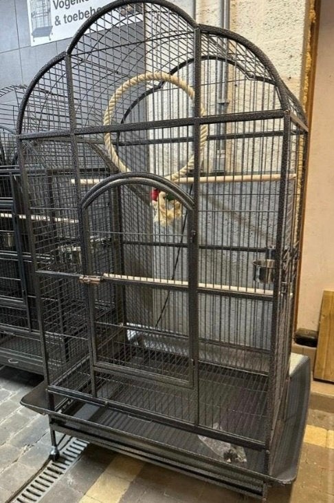Cage peroquet, Enlèvement, Comme neuf, Métal, Volière