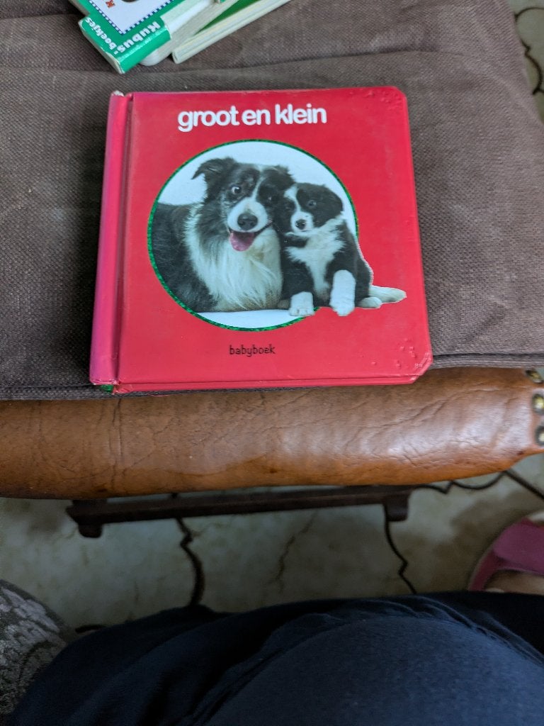 Groot en klein, Boeken, Ophalen of Verzenden, Zo goed als nieuw