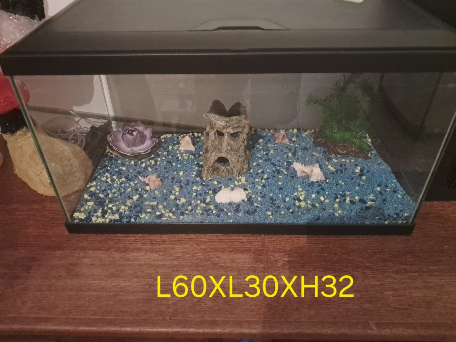 aquarium