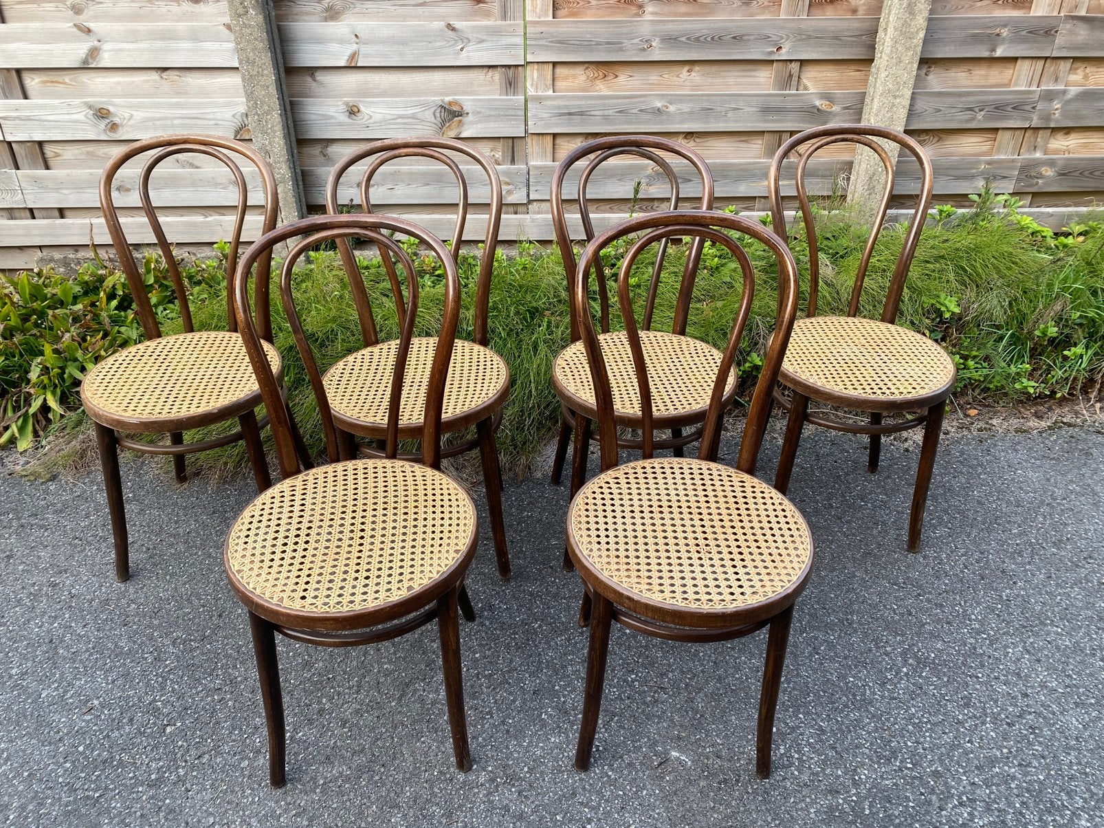 6 vintage ZPM Radomsko stoelen - Thonet-stijl, Ophalen, Gebruikt, Bruin, Thonet-stijl