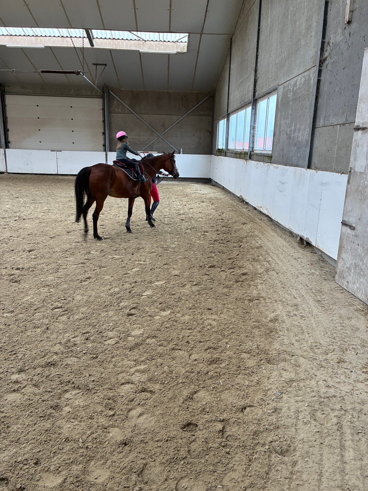 Super  amateur paardje, 11 ans ou plus, 160 à 165 cm, Ne s'applique pas, Jument