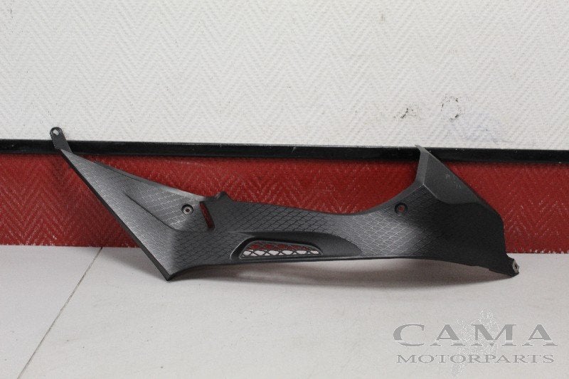 BUDDYPANEEL RECHTS BMW S 1000 RR 2010-2011 (S1000RR 10), Dhr. S. di Majo, Gebruikt, Info@cama-motorparts.nl, P.J. Troelstraweg 8 8
3144 CX  MAASSLUIS, NL