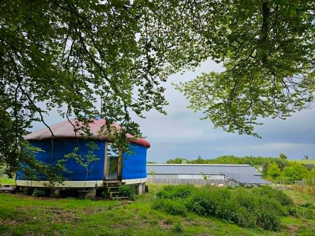 YOURTE CONTEMPORAINE, Présent, Jusqu'à 6, Enlèvement, Bleu