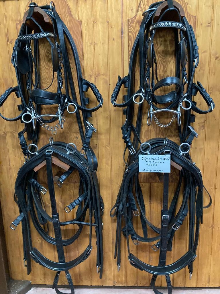 Enkelspan Marathon & leidsels, Dieren en Toebehoren, Ophalen, Zo goed als nieuw, Recreatie