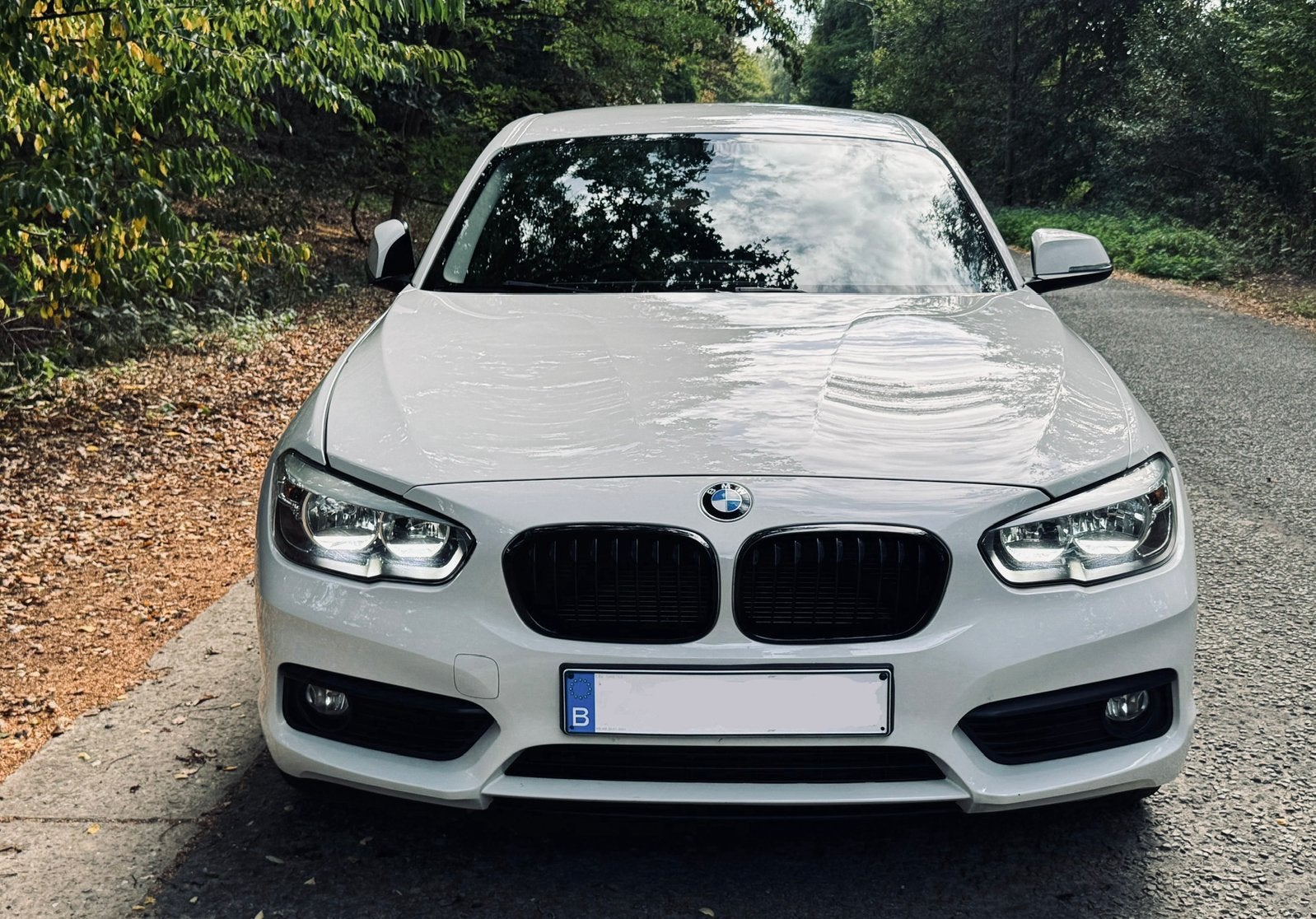 BMW 116i F20 LCI | 5-deurs | Alpinweiss, Autos, Achat, Euro 6, Boîte manuelle, 5 portes