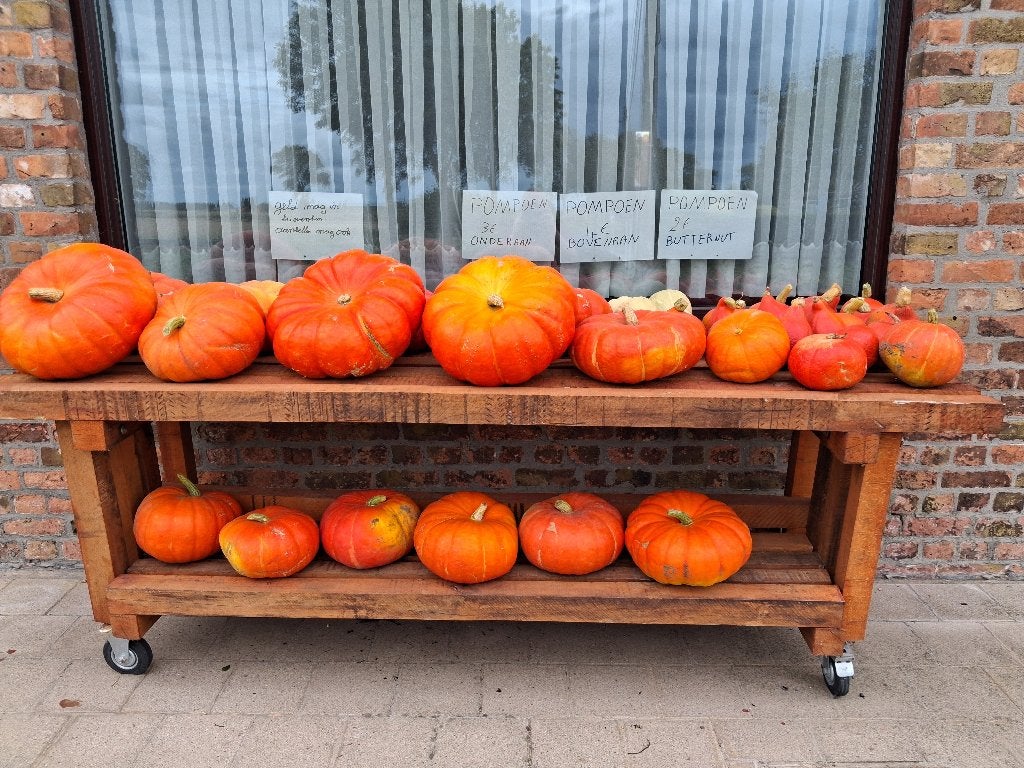 Kleine en grote pompoenen, Ophalen
