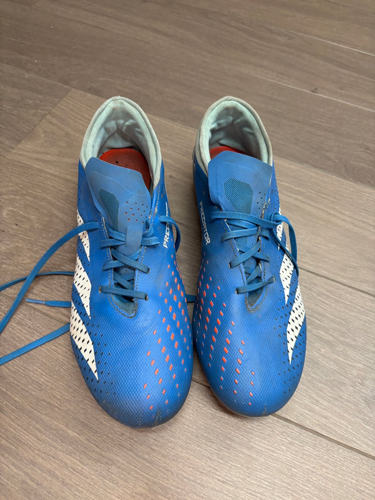 Chaussures de football Adidas Predator taille 47 1/3, Sports & Fitness, Football, Enlèvement ou Envoi, Utilisé, Chaussures