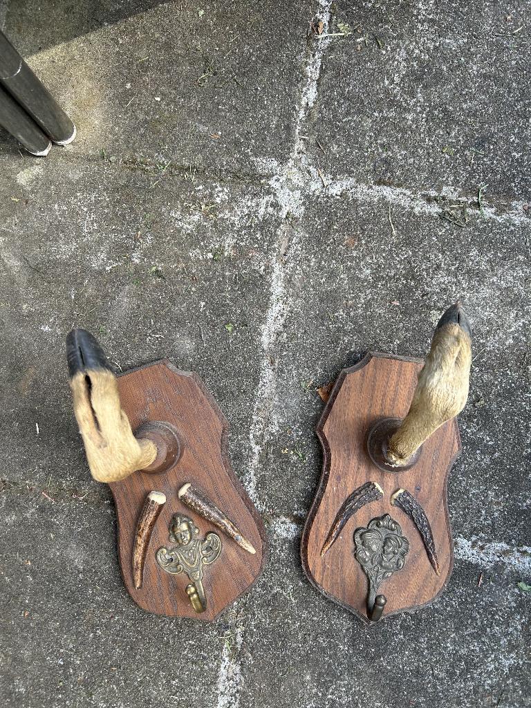 2 Porte manteau crochet patte biche taxidermie, Maison & Meubles, Accessoires pour la Maison | Portemanteaux, Enlèvement ou Envoi