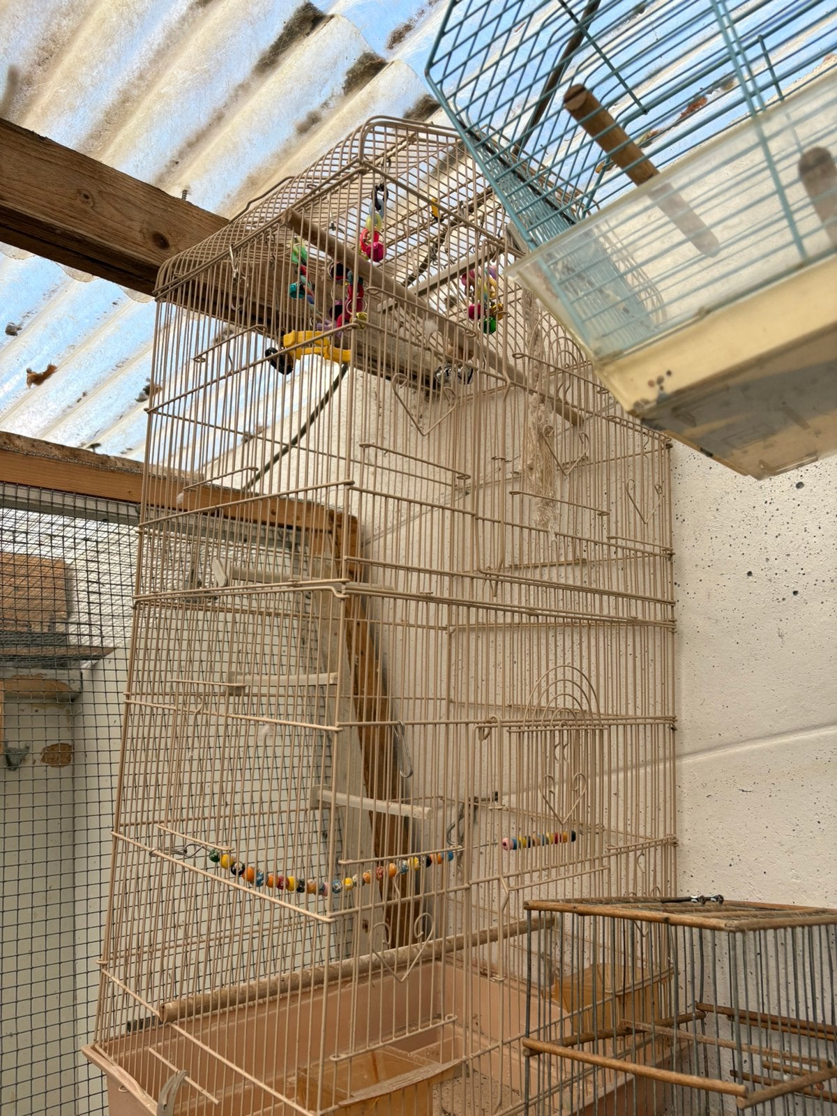 Grote vogelkooi, Ophalen, Zo goed als nieuw, Vogelkooi