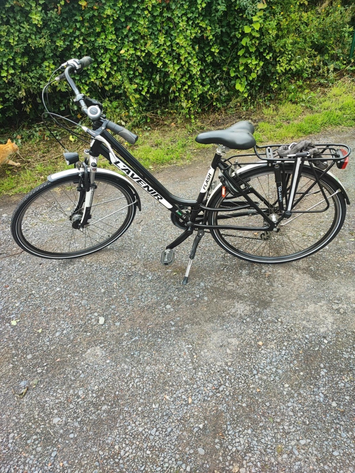 Nieuwe damesfiets, Enlèvement