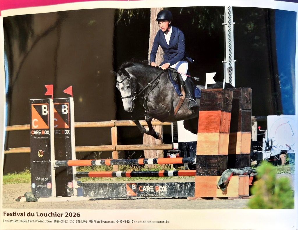 Jument de 5 ans, Avec pedigree, Débourré, 165 à 170 cm, Cheval de saut